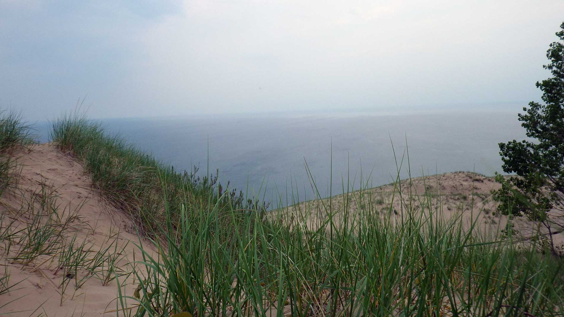 Dune grass and the big Lake.