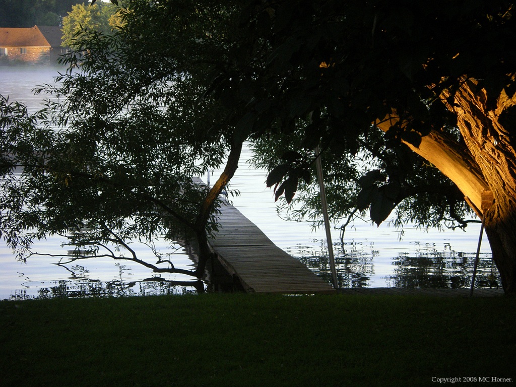 Daybreak in the swamp.