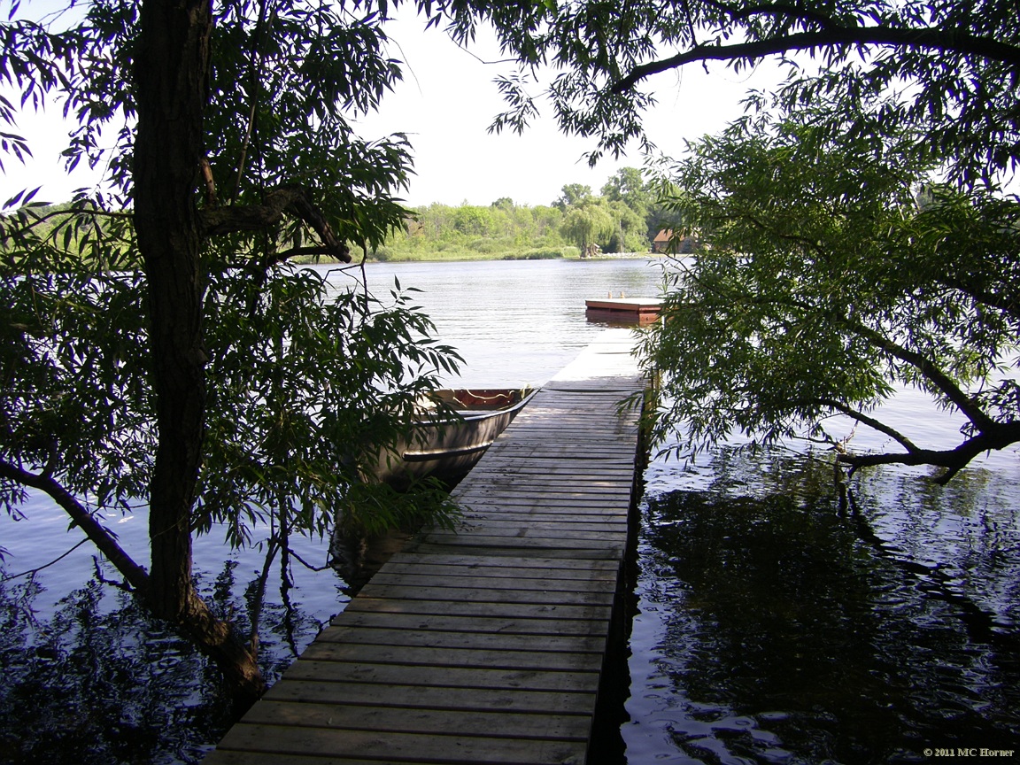 Dock and raft finally in.