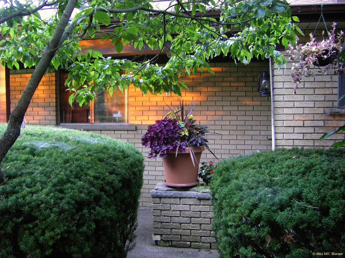 Front walk; sunset.