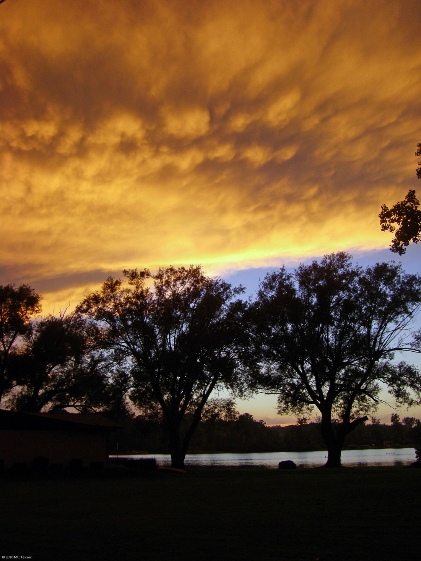 Gleaming in the golden light of day.