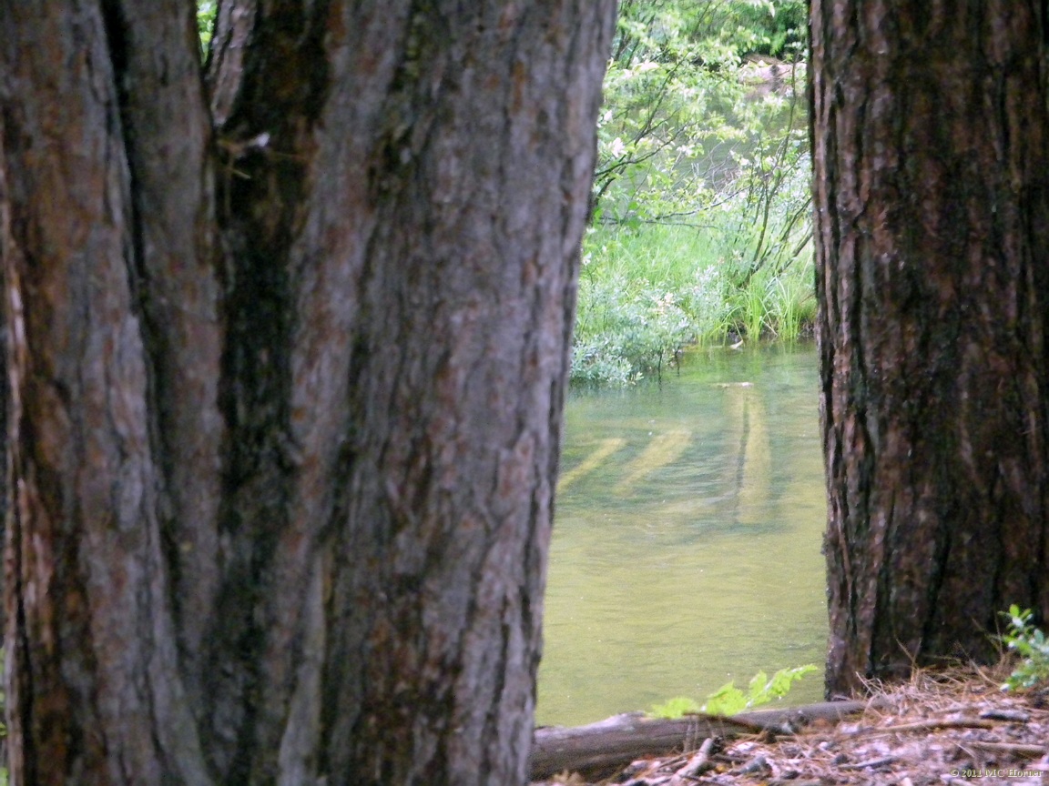 Catches canoes.