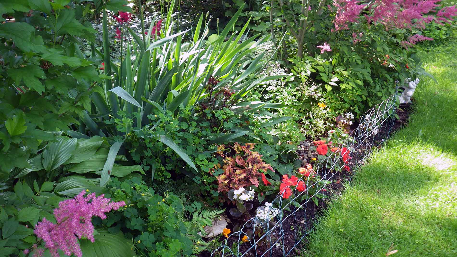 Shade garden.