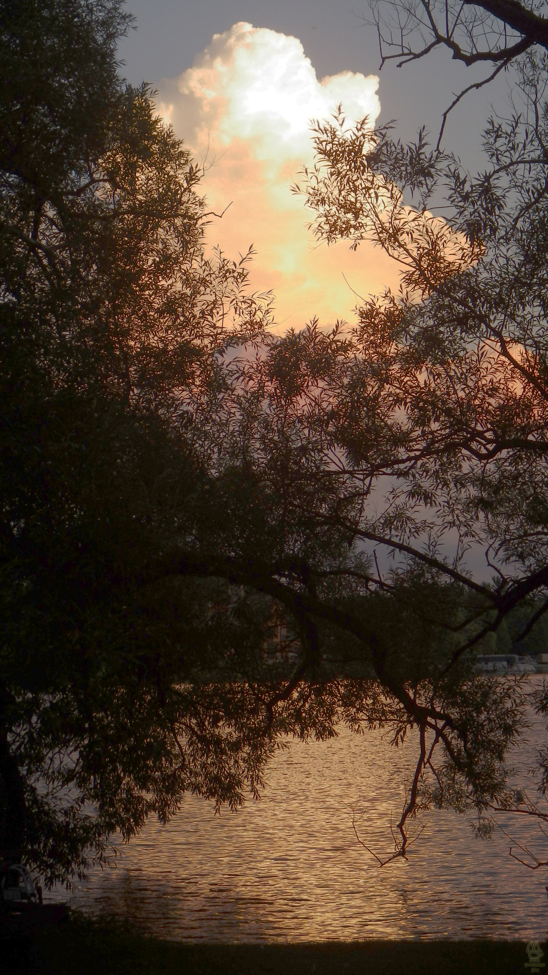 Thunderhead at sunset.