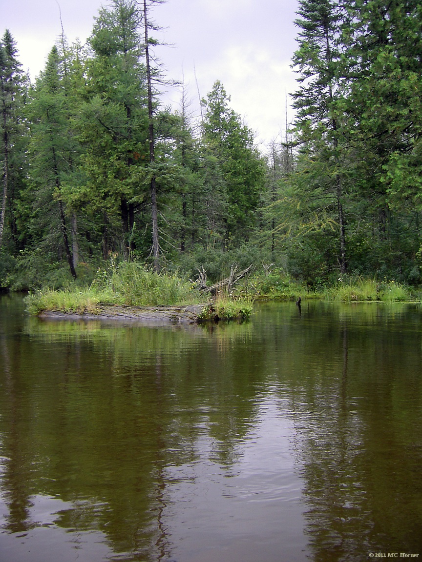 Leftover from the logging era.