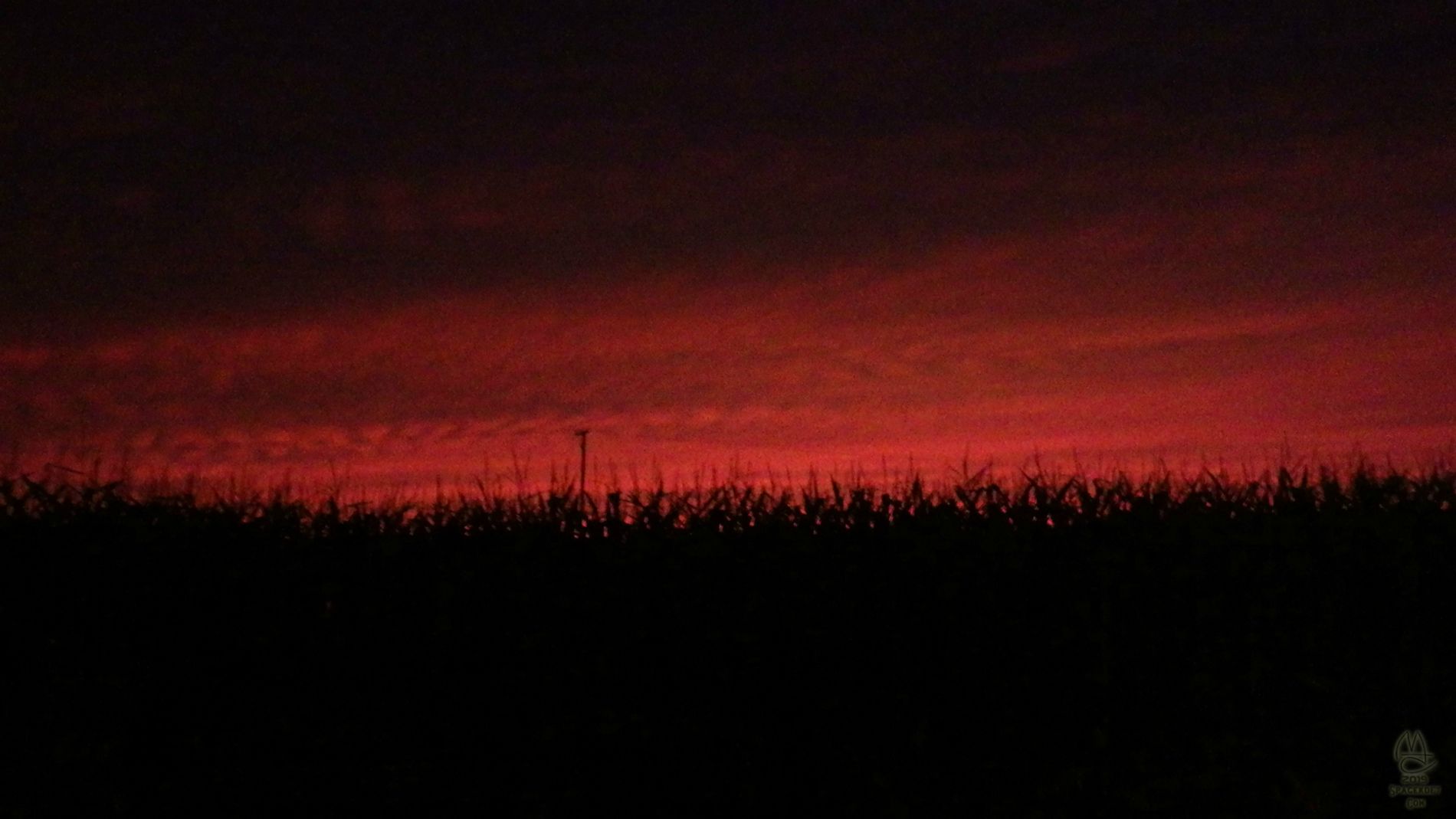 Sunset in the corn.