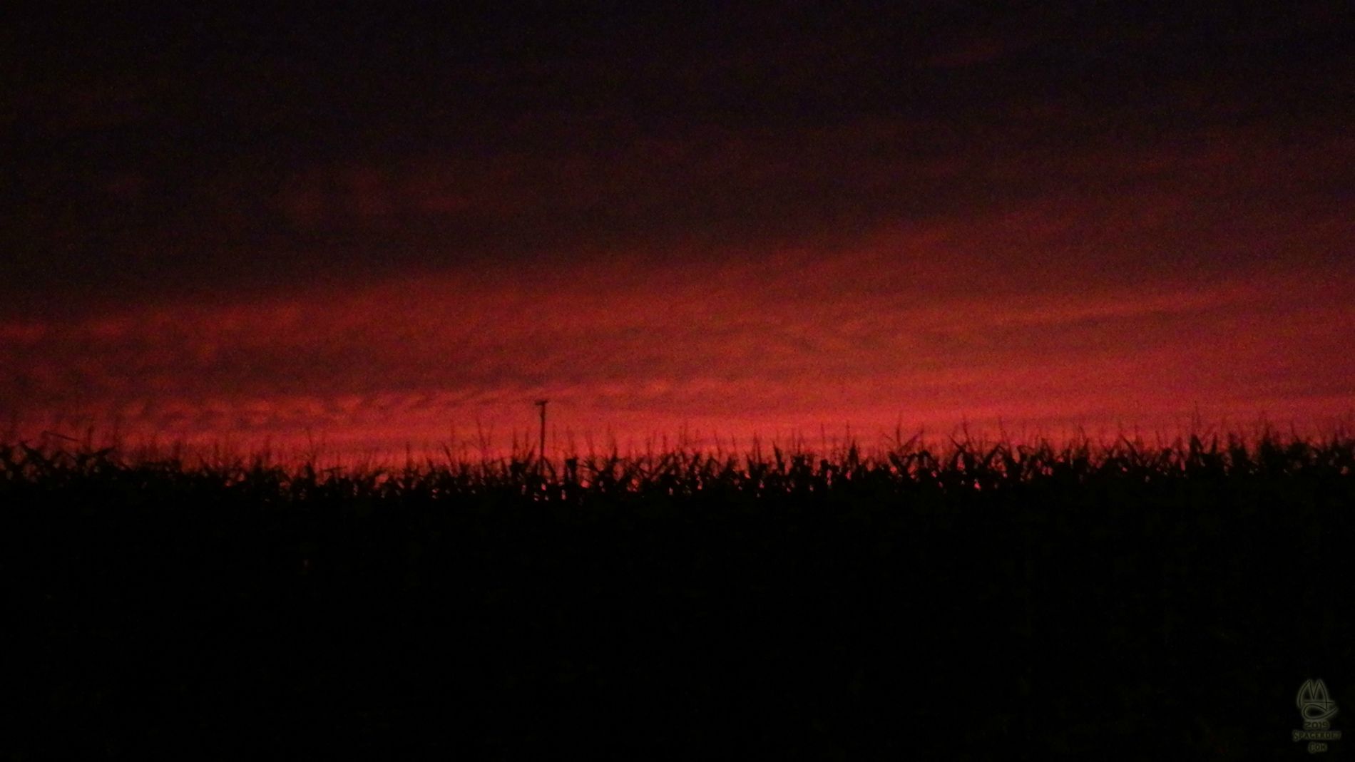 Sunset in the corn.