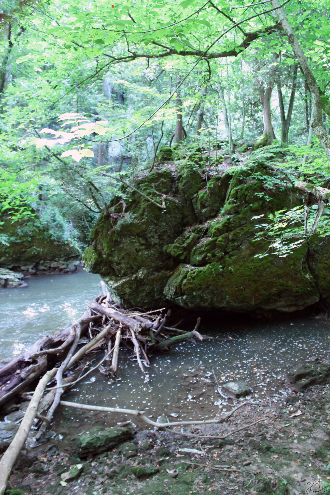 Steamboat Rock