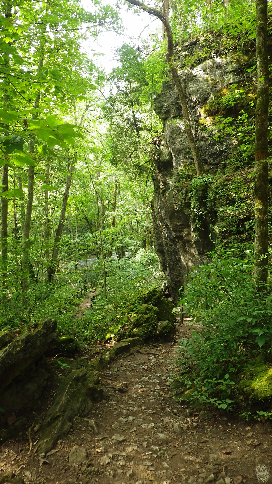 Clifton Gorge trail.