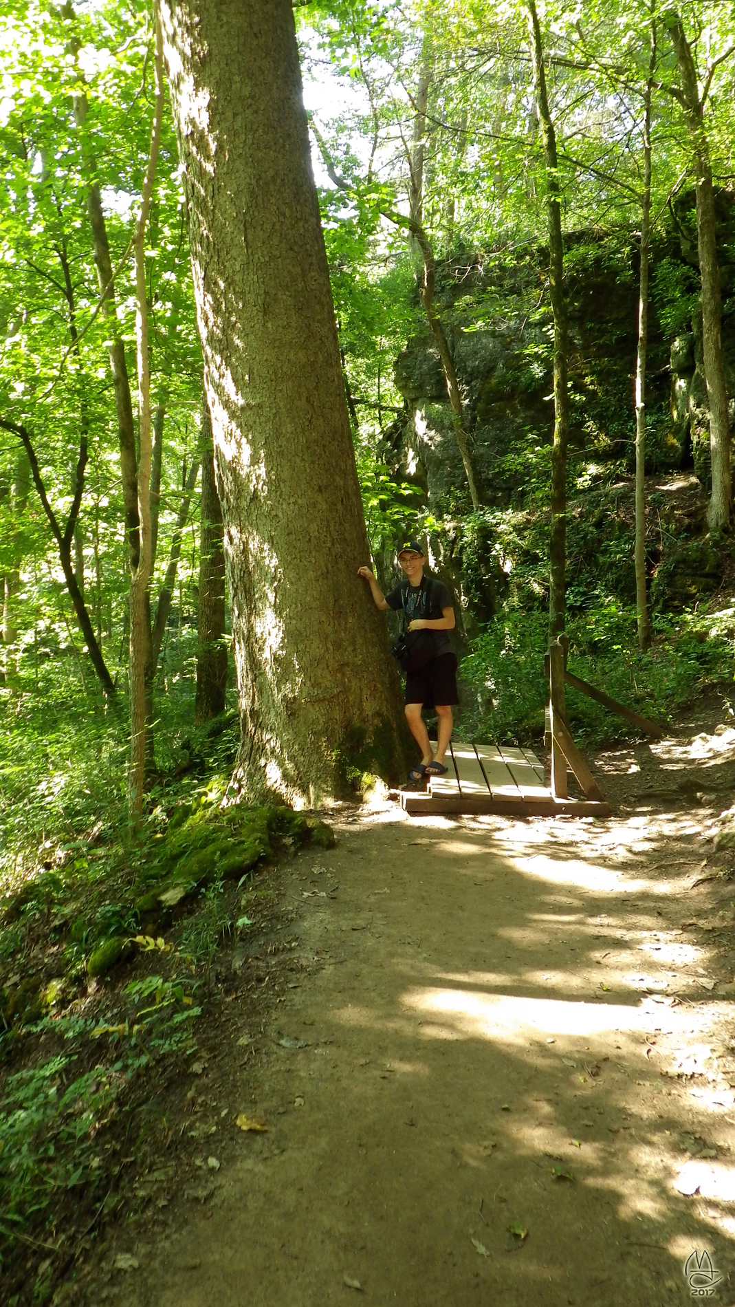 G Man and the tree, man.