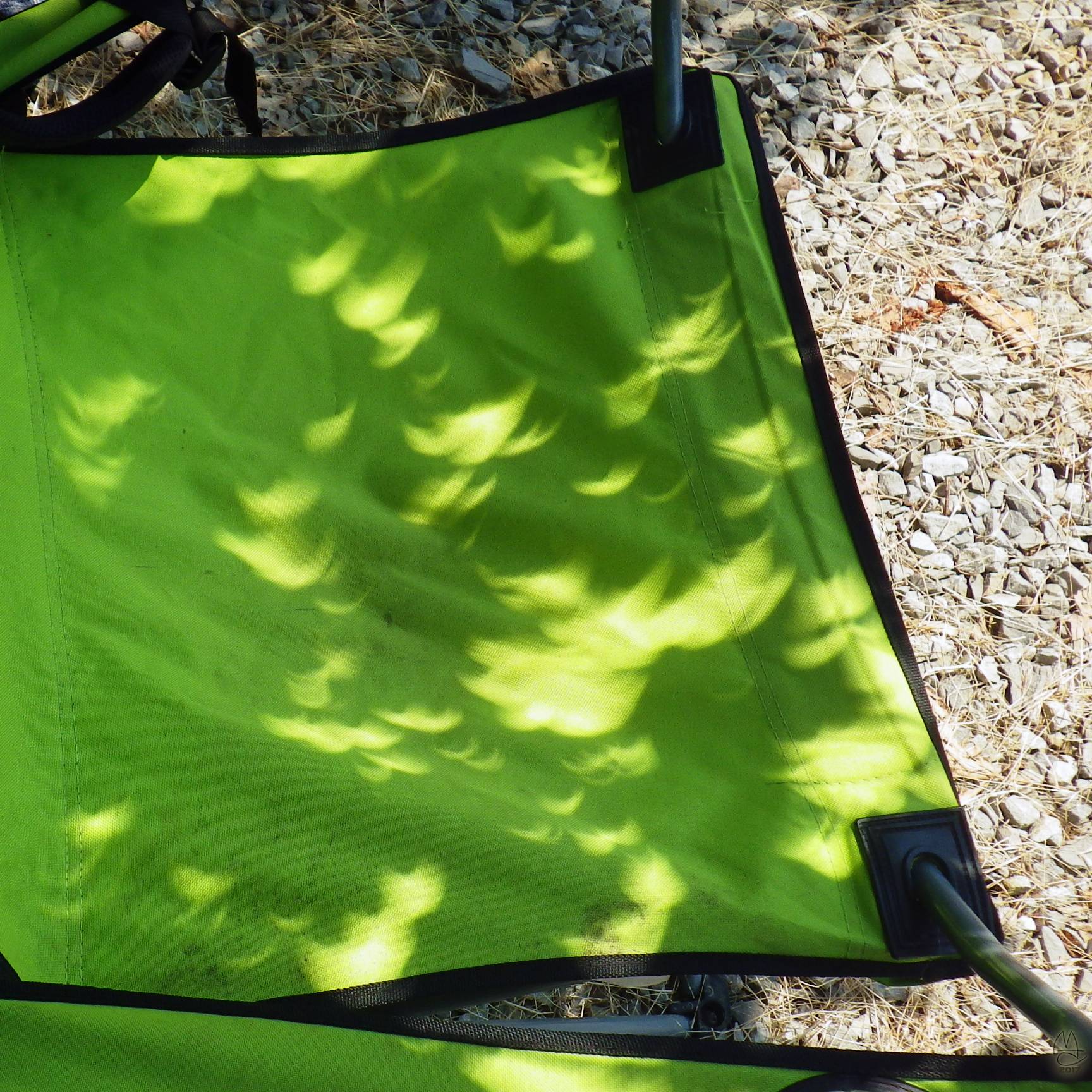 Leaves of trees act as pinhole camera.