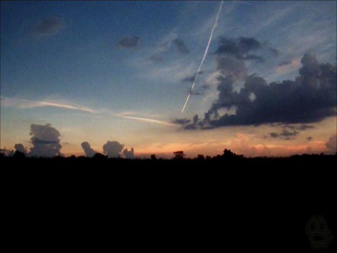 360 sunset colors at mid-day. Note clouds outside totality still lit by sunlight.