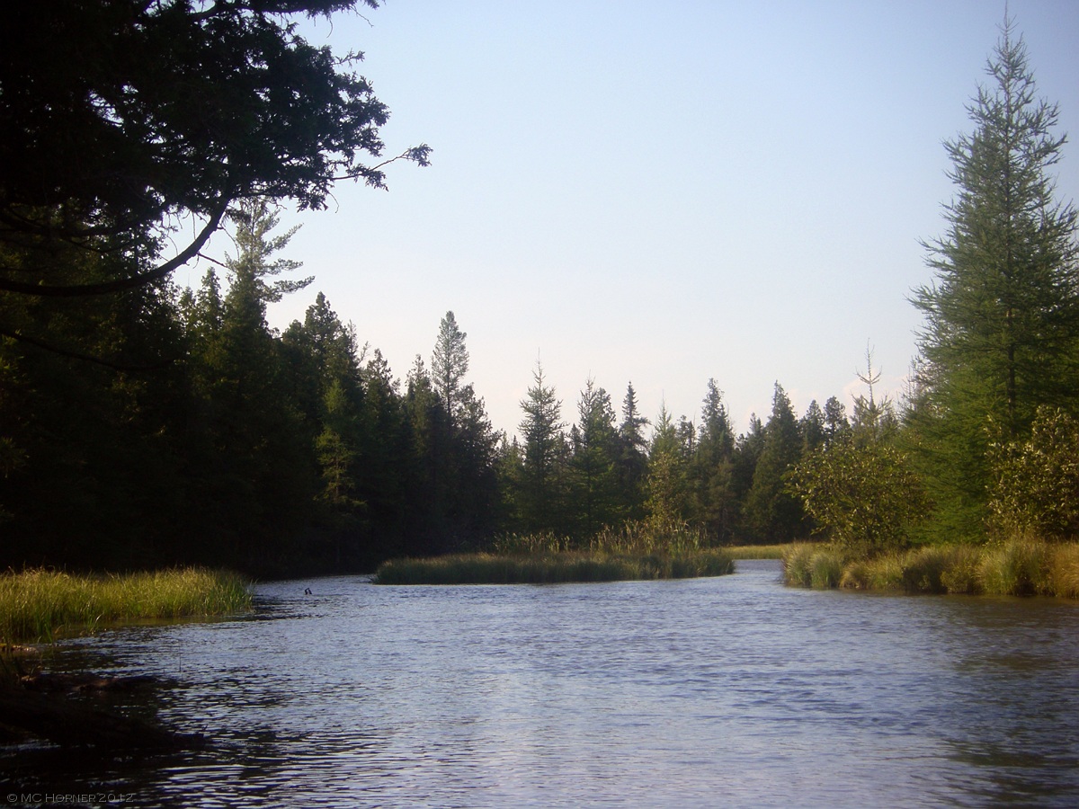 Island view.