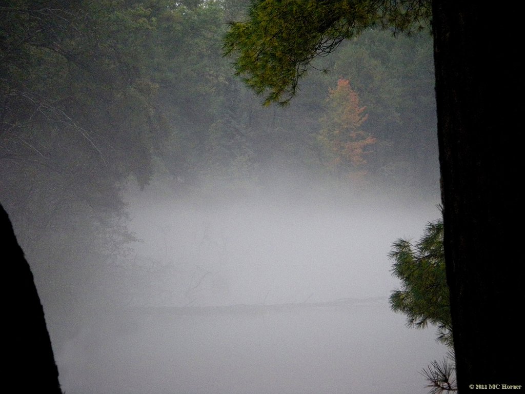 Framed in the fog.