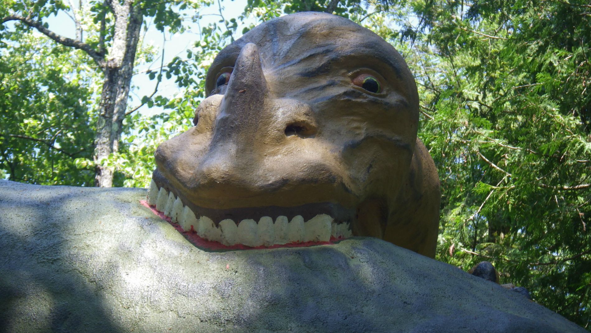 Do you have a moment to talk about Dental Plans?