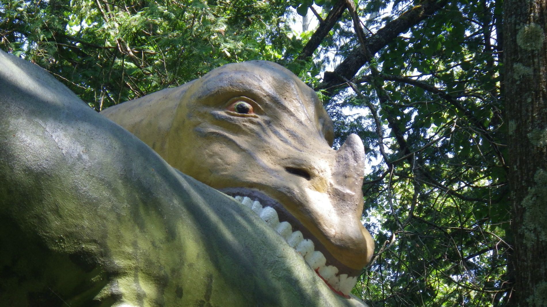 He thinks he's people!