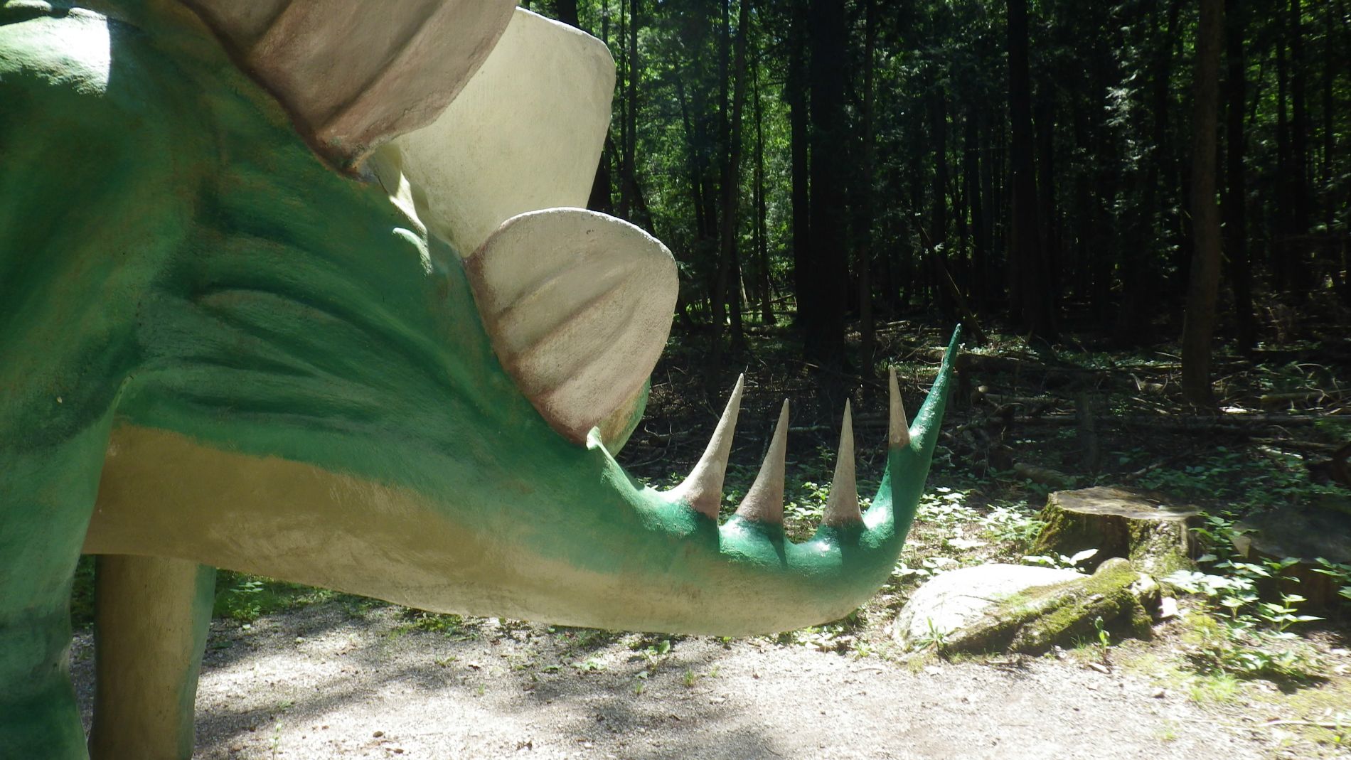 Stegosaurus' business end.