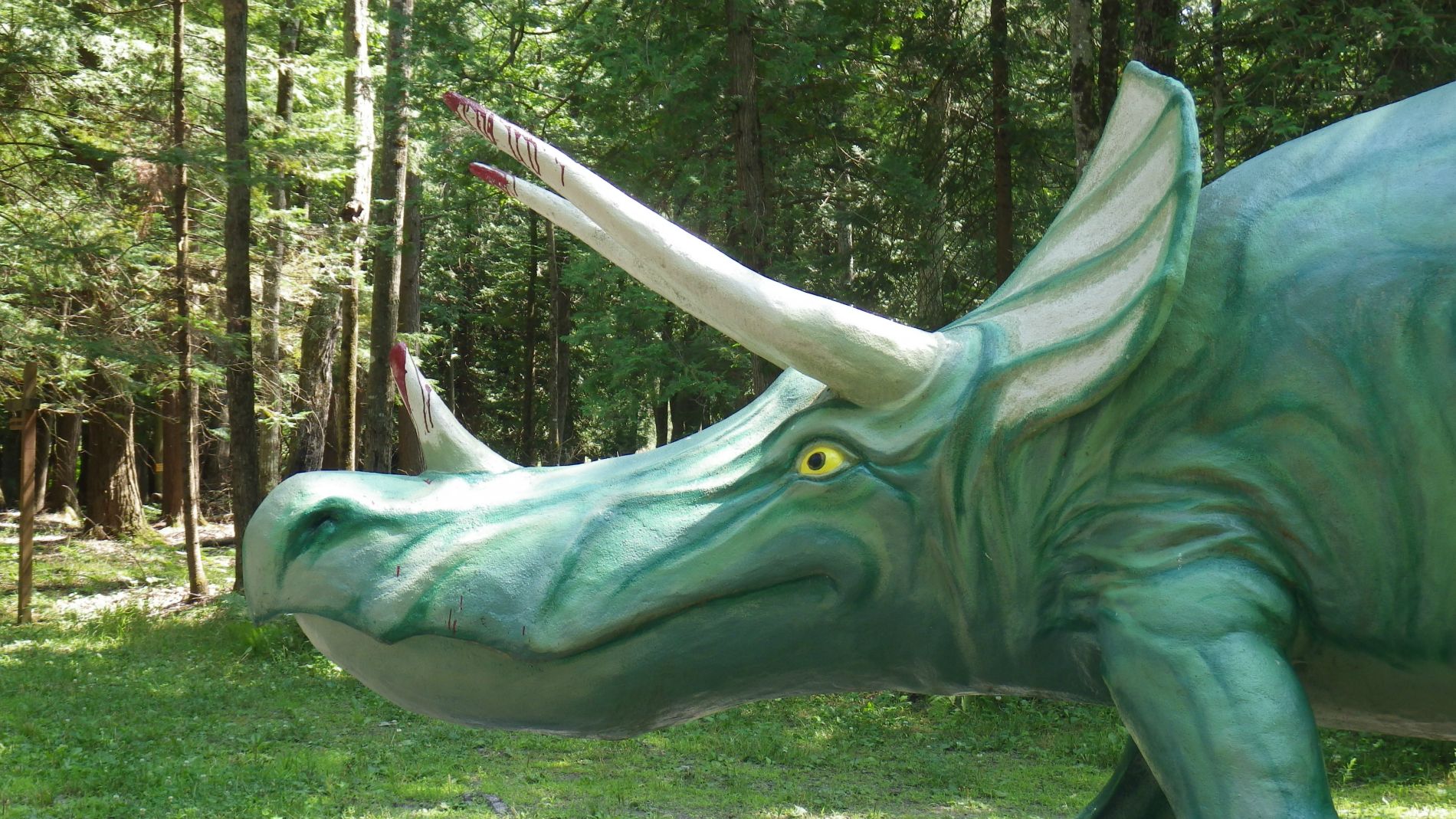 Want to come over for dinner?