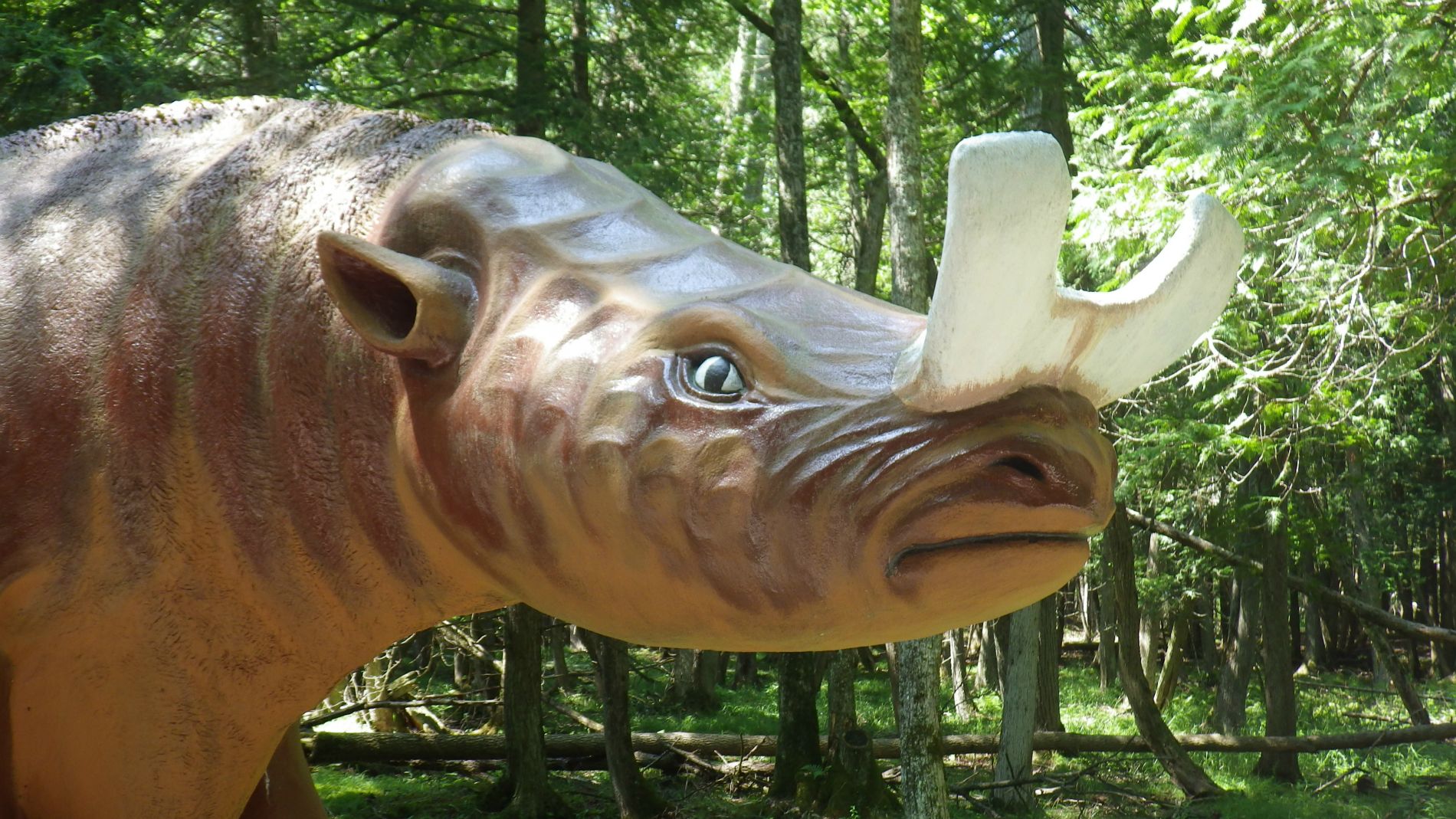 Slingshottosaurus. Includes bonus details.