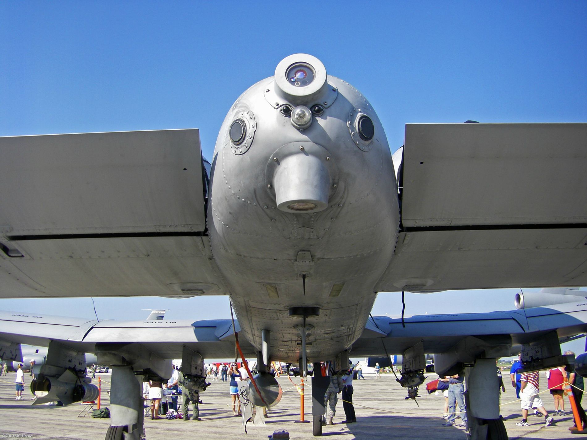 The Warthog's ass.