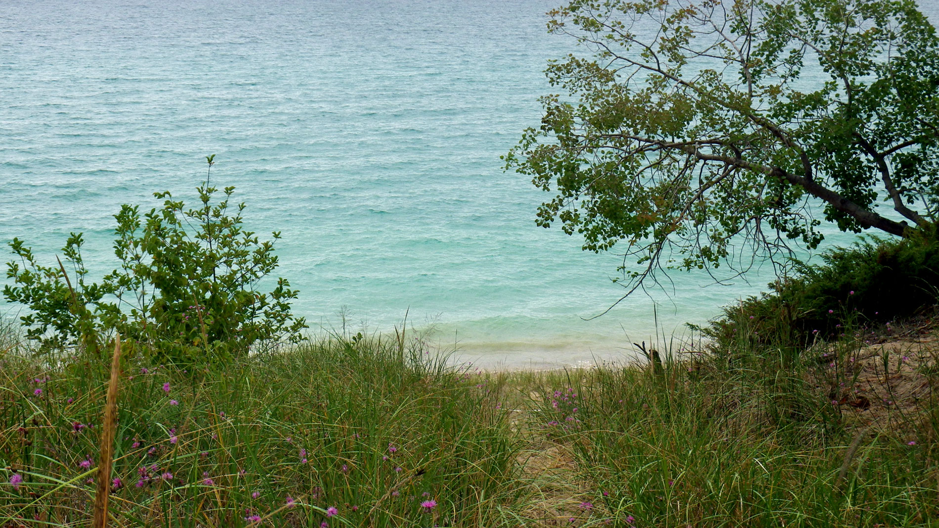 Path to beach.