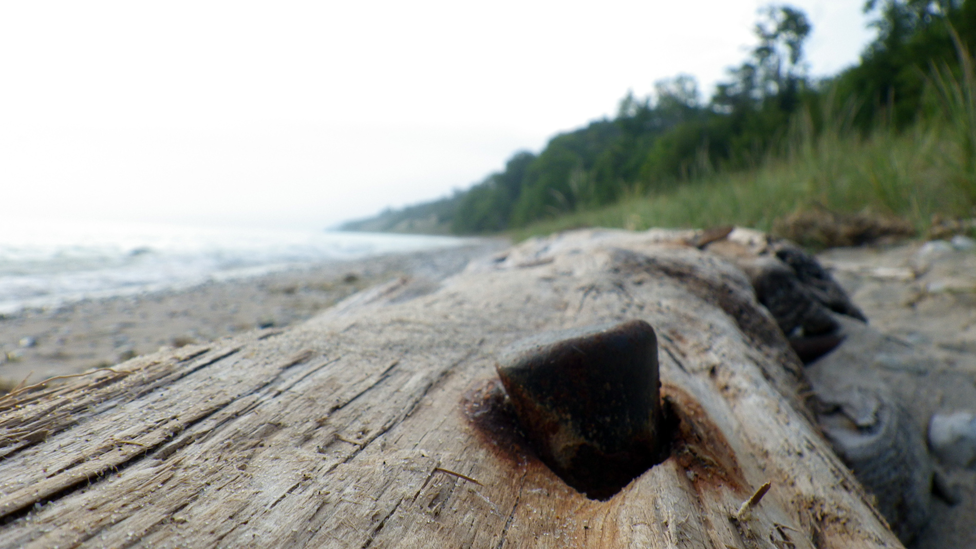 Iron spike in possible shipwreck remains...or maybe just part of an old dock.  Watch a short  video snippet HERE.