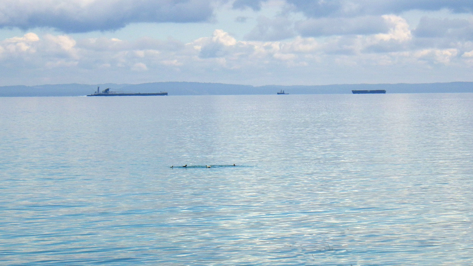 Freighter, tug and barge.