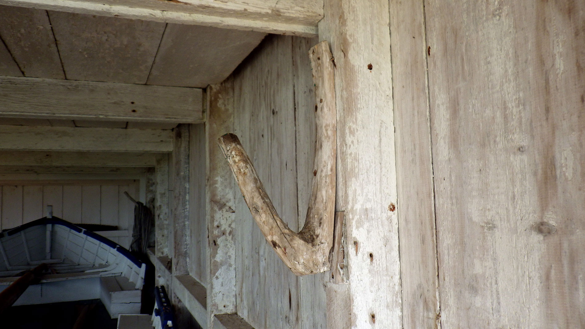 Adapted crook in the boathouse.