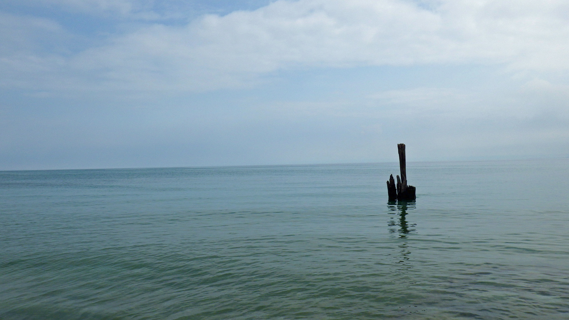 Old pilings.