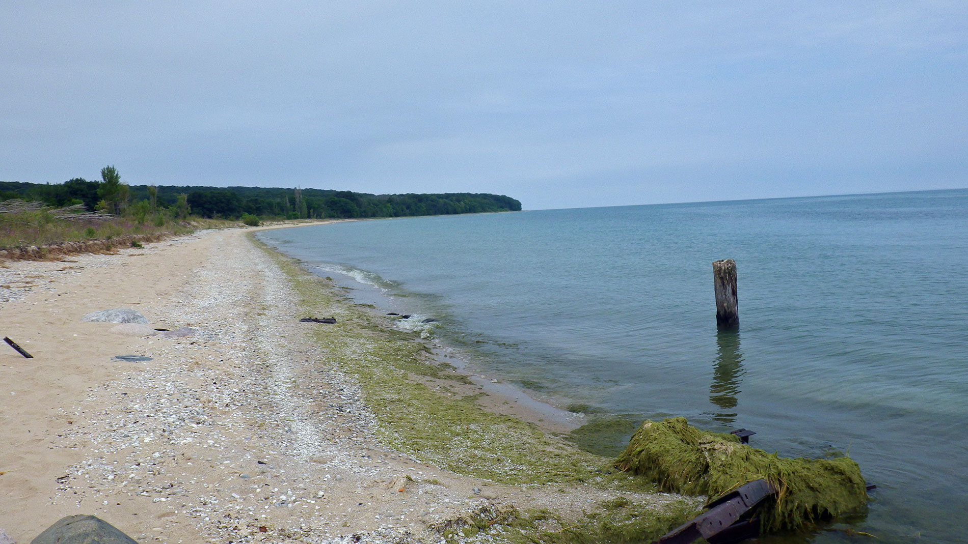 Looking north from old pier at Vessel Point. See a short video panning around this location HERE 