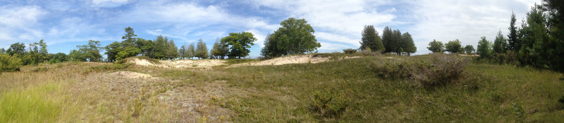 Dune Panorama.