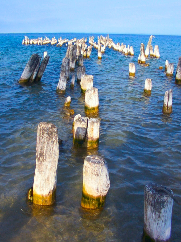 1850 dock remains