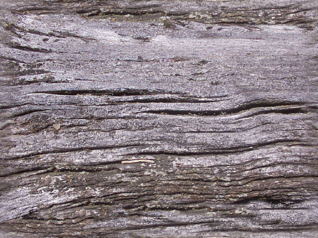 Driftwood texture.