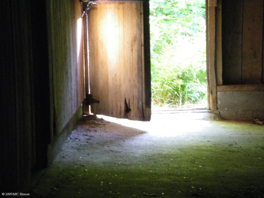 Dutch door.