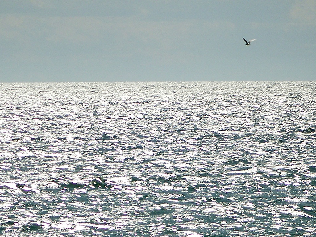 After the barn tour, it's down to the shore to collect water.