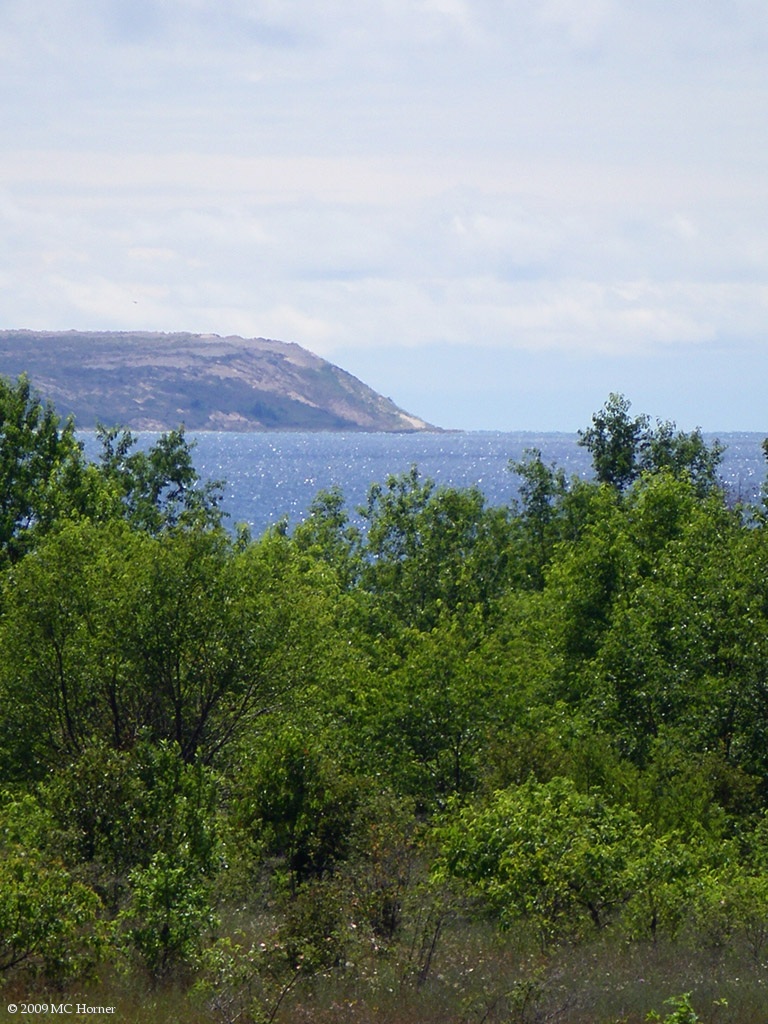 View of the west edge of the South island.