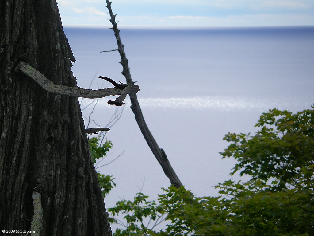 A dayhike to the northwest corner of the island. After a bit of bushwhacking I finally spy the Lake.