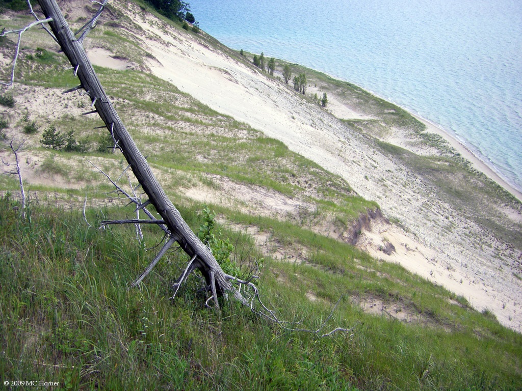 Long way down to the water, think I'll stay on top.