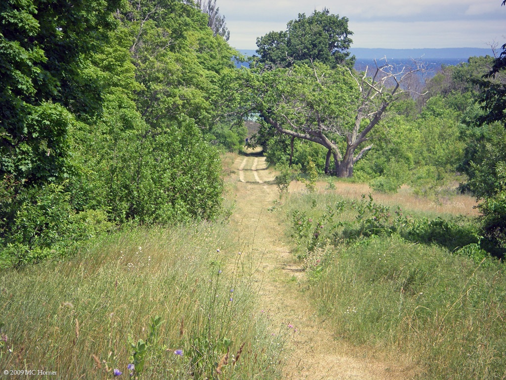 Head back closer to the east side 'village' in order to catch the boat tomorrow. Road thru an old orchard.