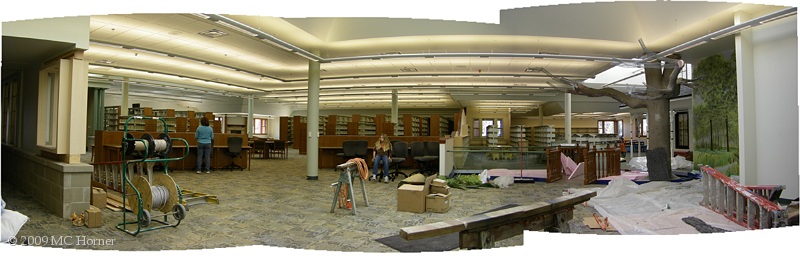 Circulation Desk location panorama