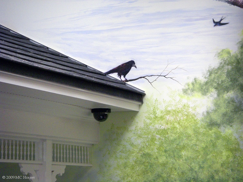 Watchful Crow.