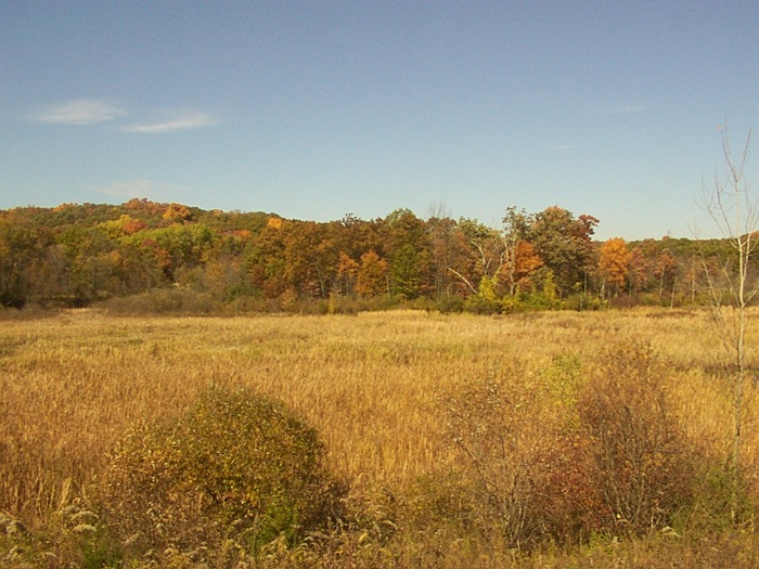 West of Milford, Michigan