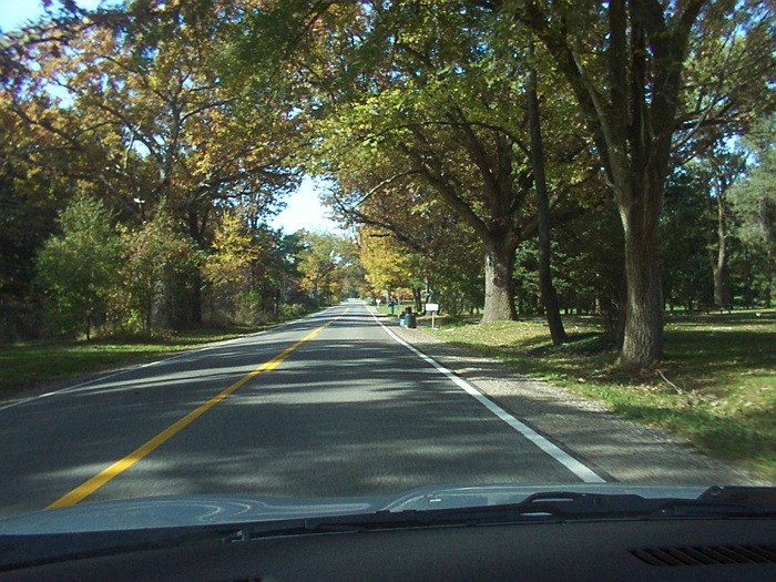 Road Oaks