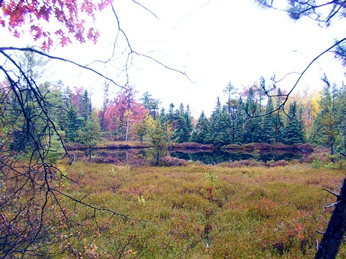 Sand Hill Pond, Crawford County, Michigan