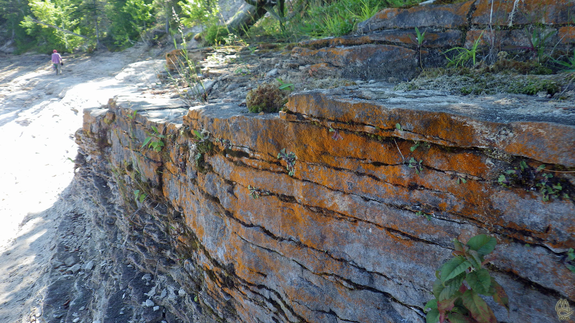 Layered sandstone.