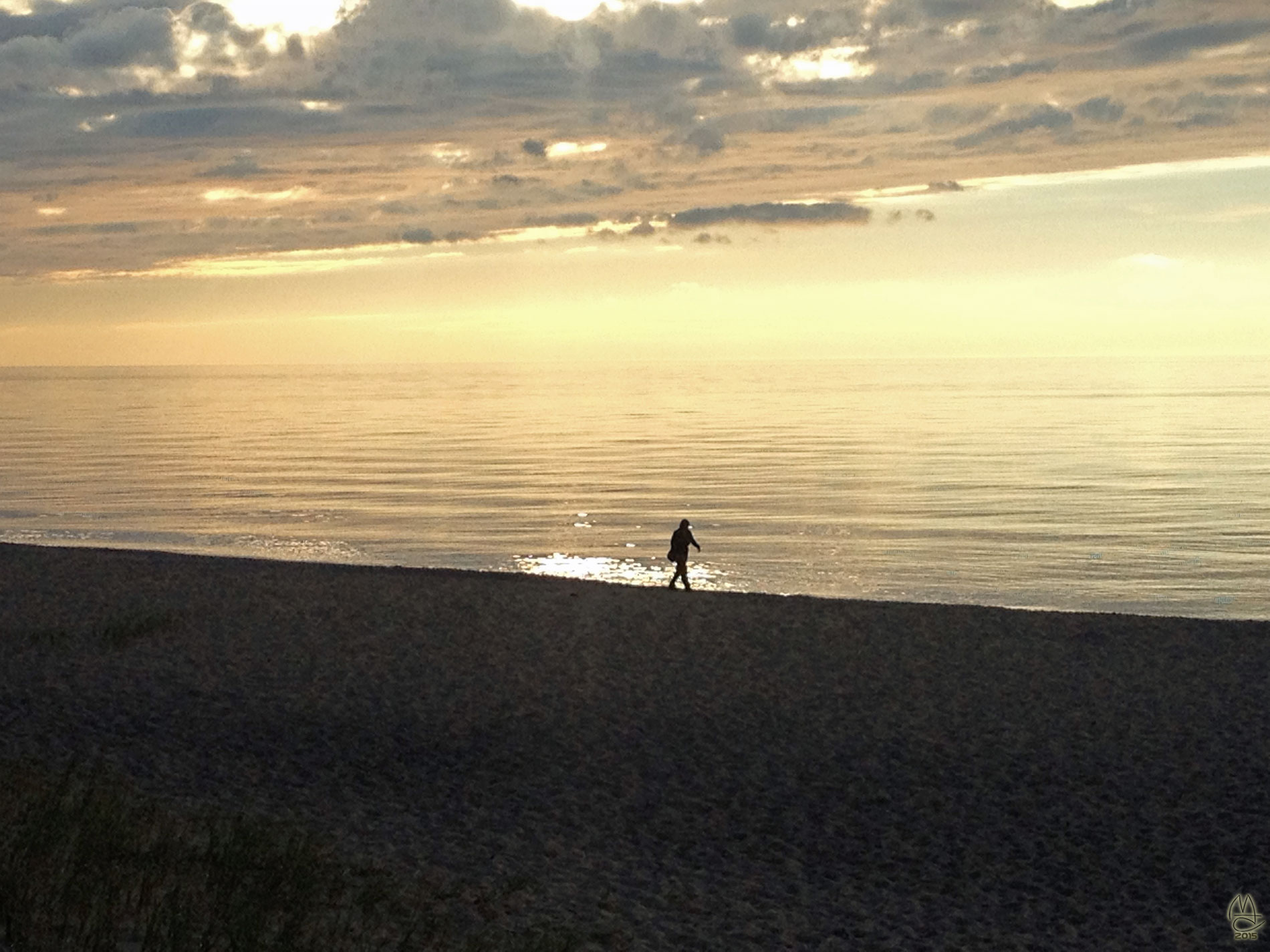 Beachcomber