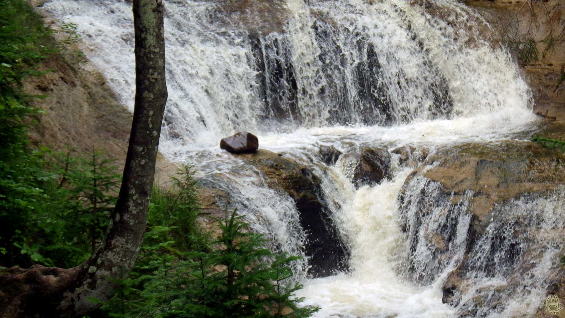 Rock in the stream.