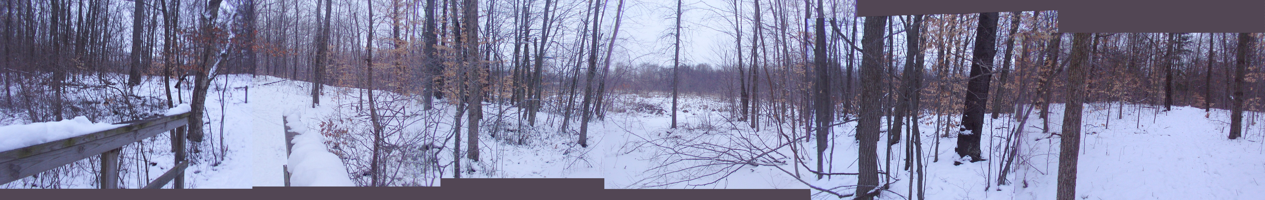 Northwest Trail Footbridge Panorama