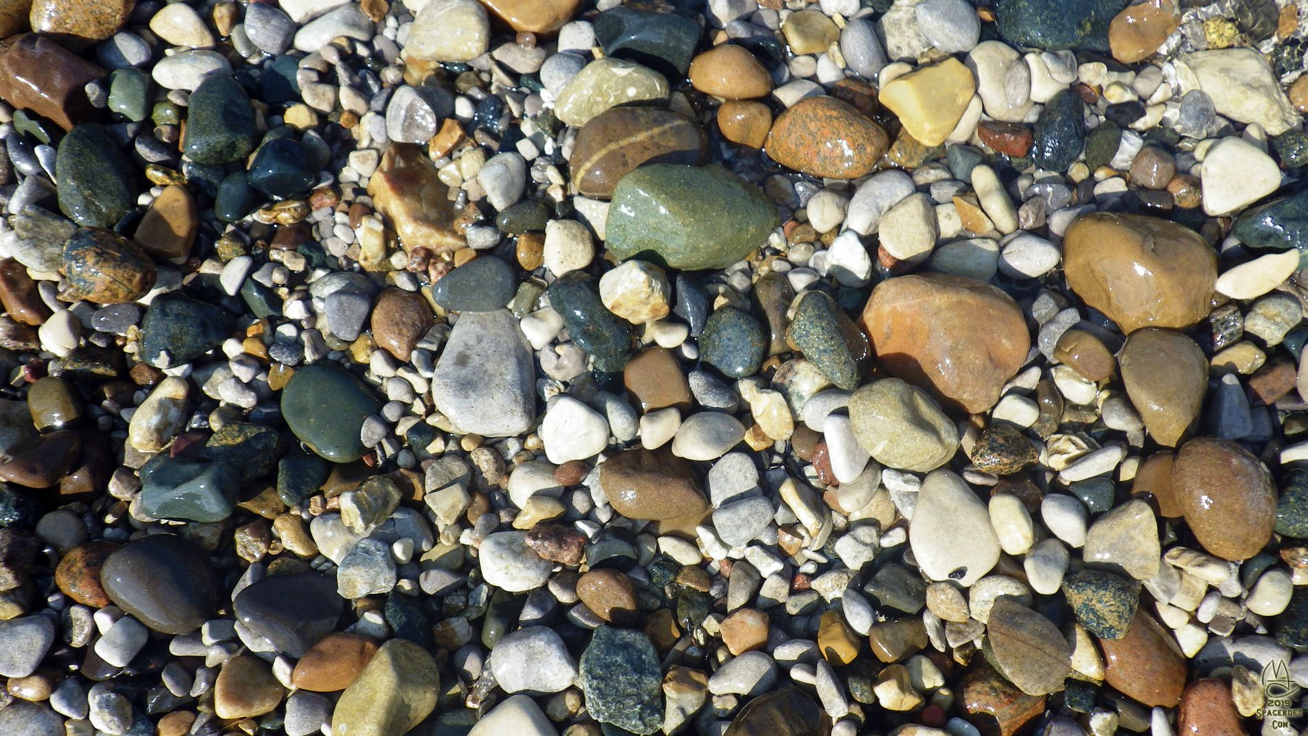 What every beach visit devolves to: rock picking!