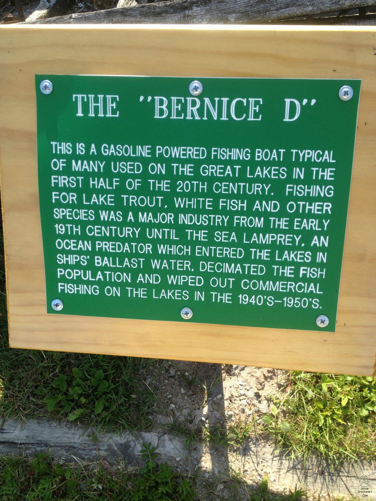 More about Bernice.